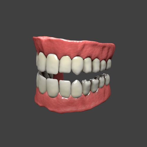 High Poly Teeth And Gums preview image